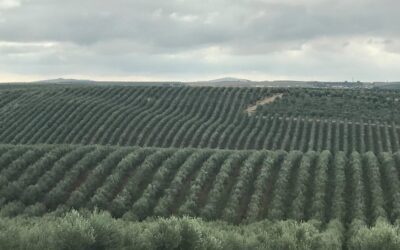 Distância mínima a produções super-intensivas